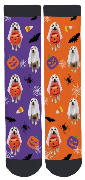 Finley Halloween Crew Socks