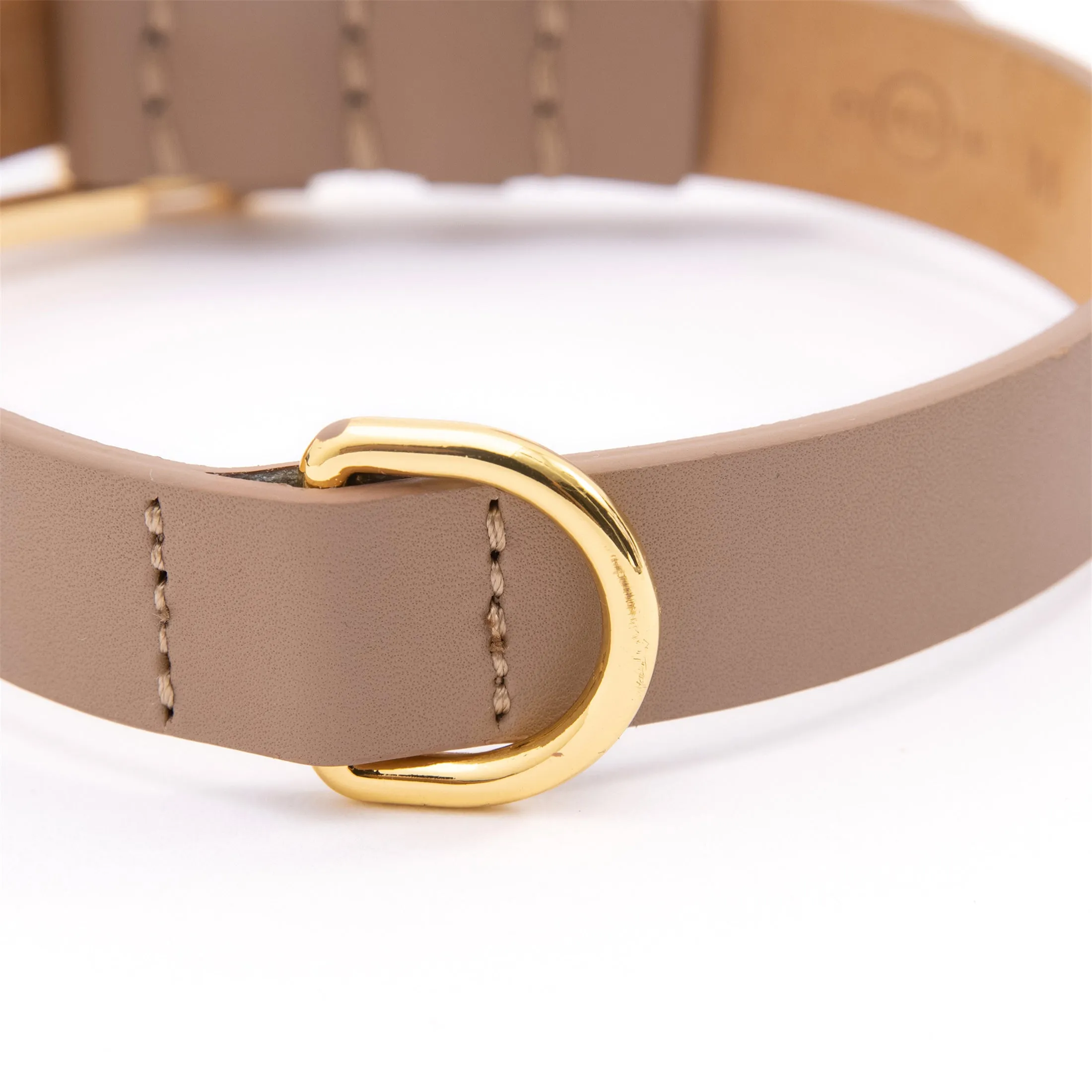 Premium Leather Collar